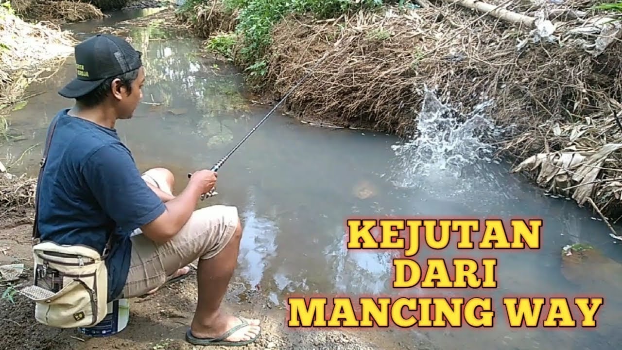 Pesta Strike Ikan Mancing Selokan Bareng Mancing Way