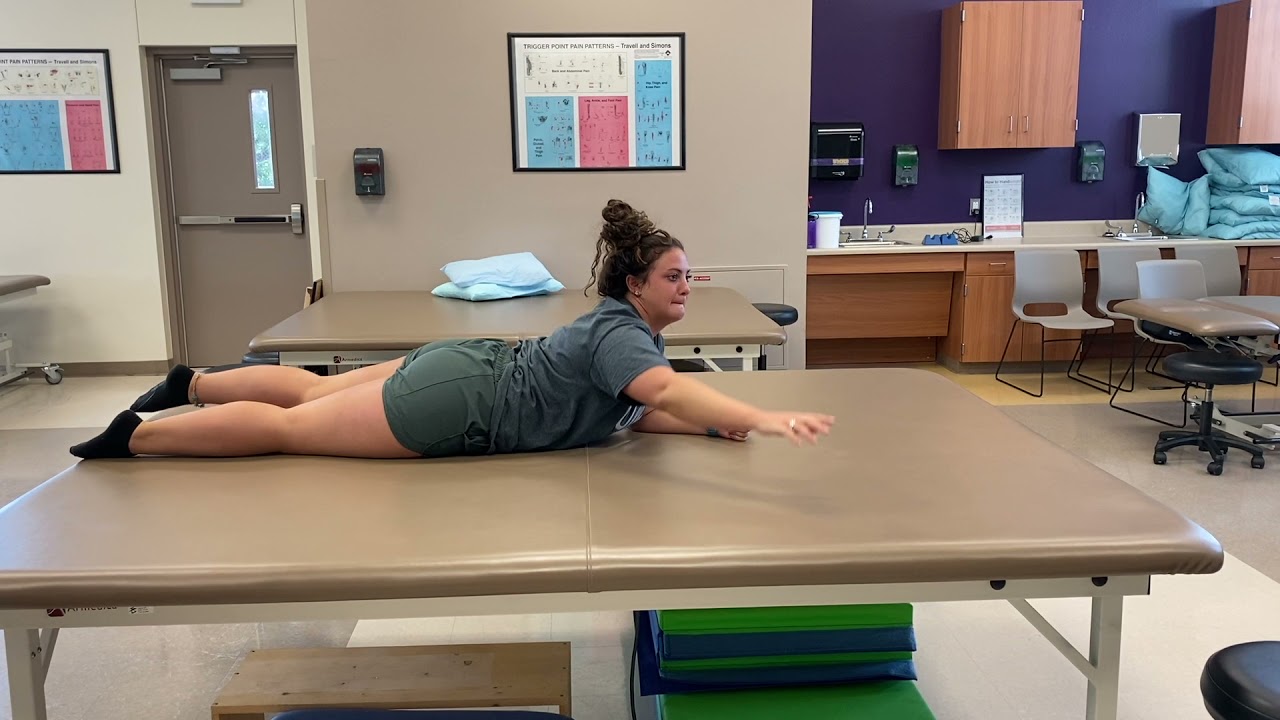 Motor milestones, prone progression