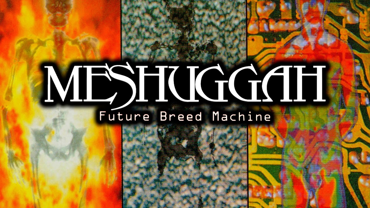 Meshuggah - Future Breed Machine (instrumental)