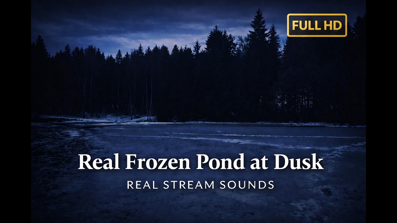 Frozen Pond at Dusk | Real Stream Sounds | Winter Nature Ambience (Full HD)