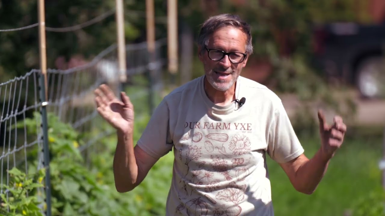 Organic Veg and Fruit Producers