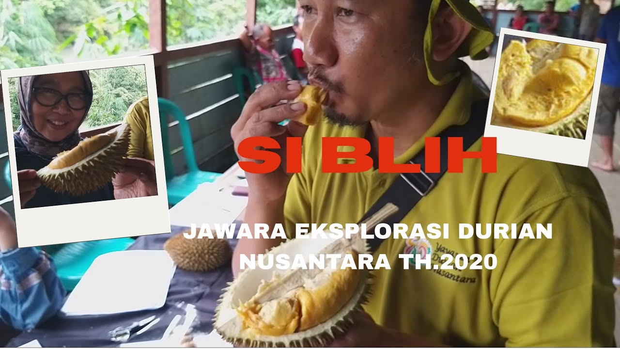 Si Blih Juara I hasil eksplorasi Durian Nusantara th 2020.