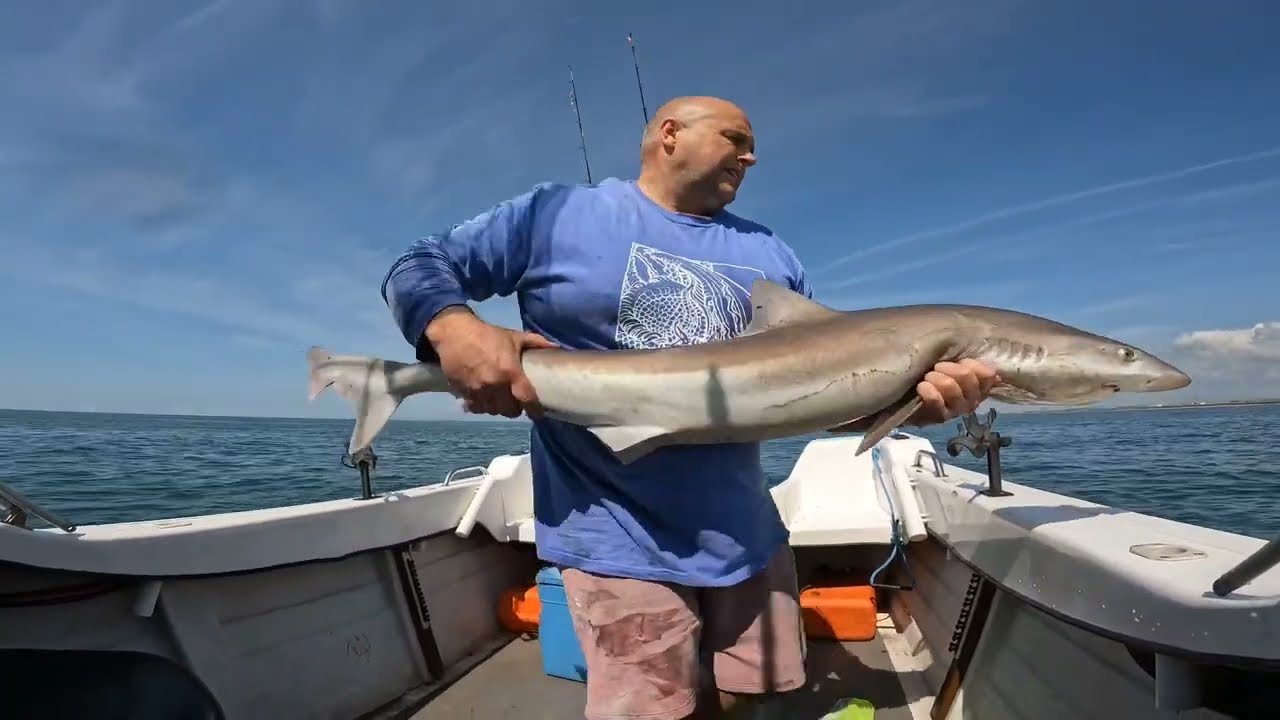 Seahog Samurai Review and a bit of Tope fishing