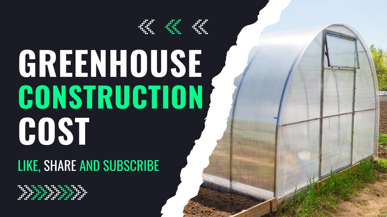 Greenhouse Construction Cost In Zimbabwe