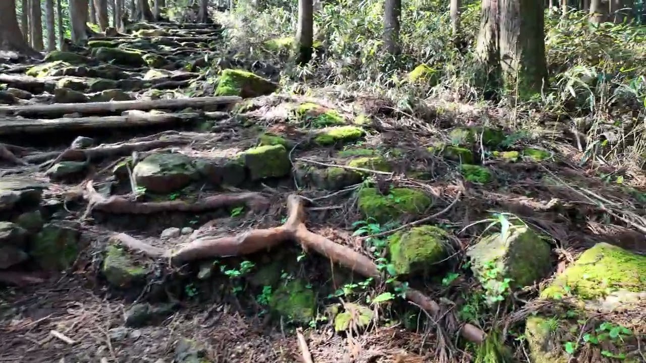 Kumano Kodo #5