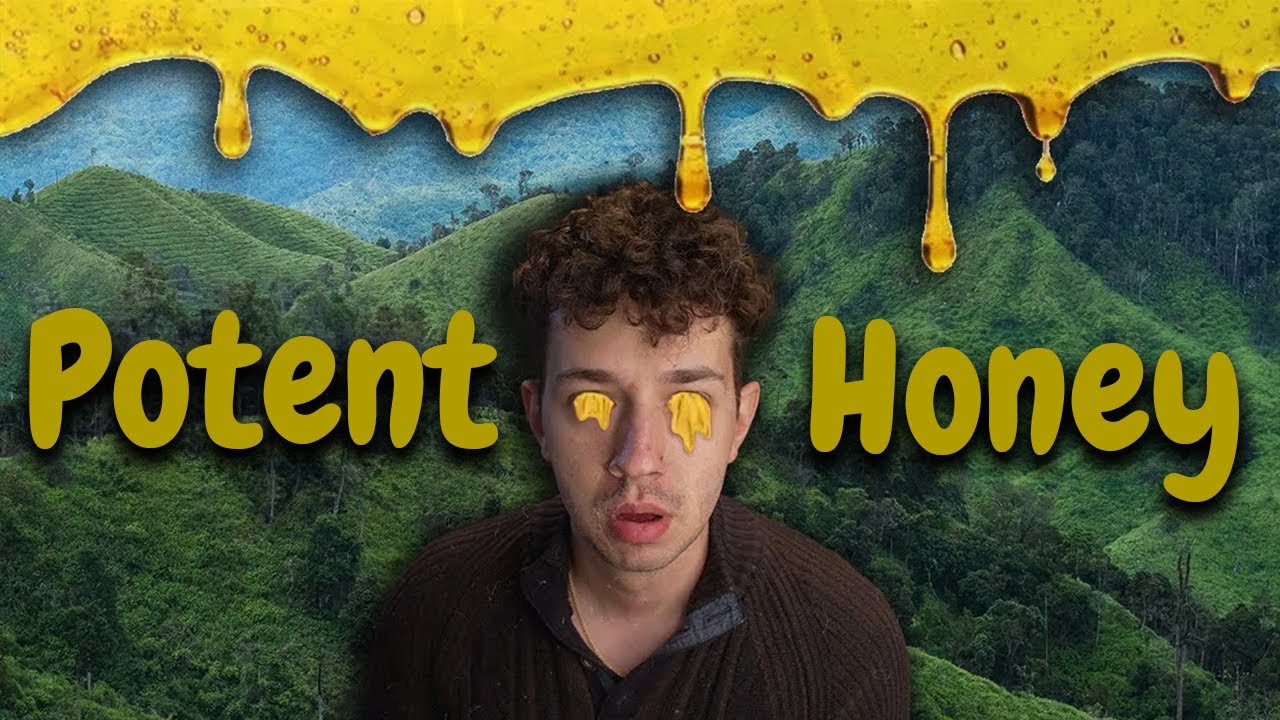 Mad Honey: Psychedelic or Scam?