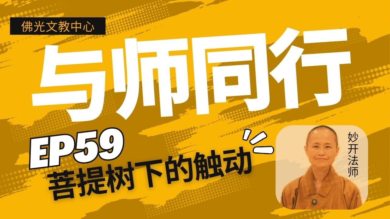 EP 59  | 《与师同行》 菩提树下的触动