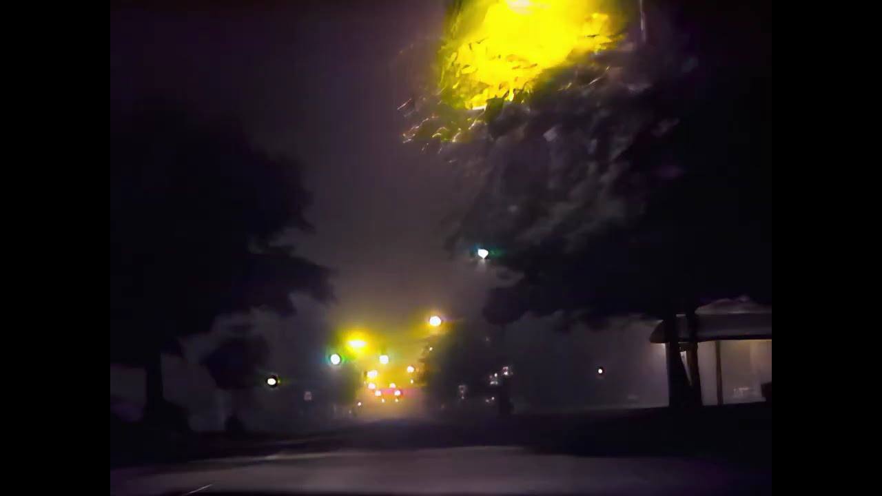 Night Drive thru Savannah (1989)