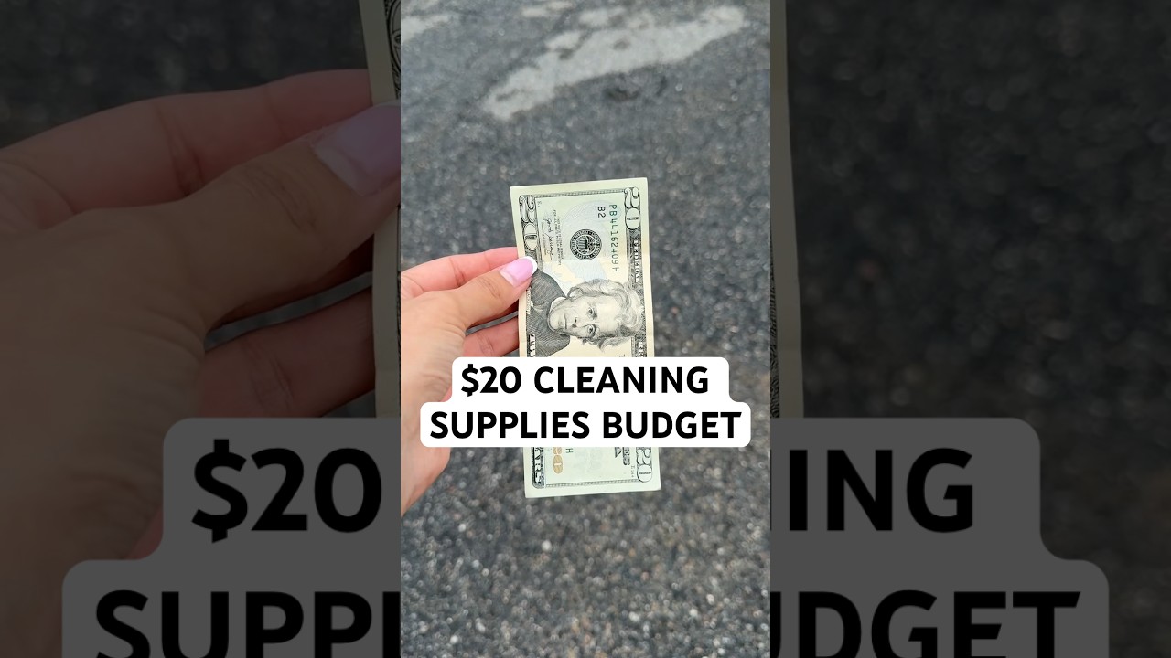 Покупка чистящих средств с бюджетом в 20 долларов в @dollartree #dollartreefinds #dollartreehaul