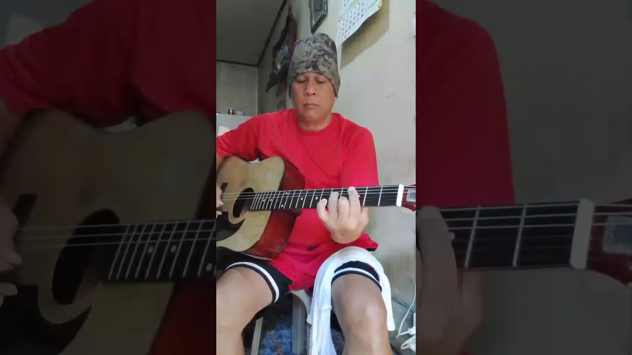Colour my world instrumental #instrumental  #acousticcover 