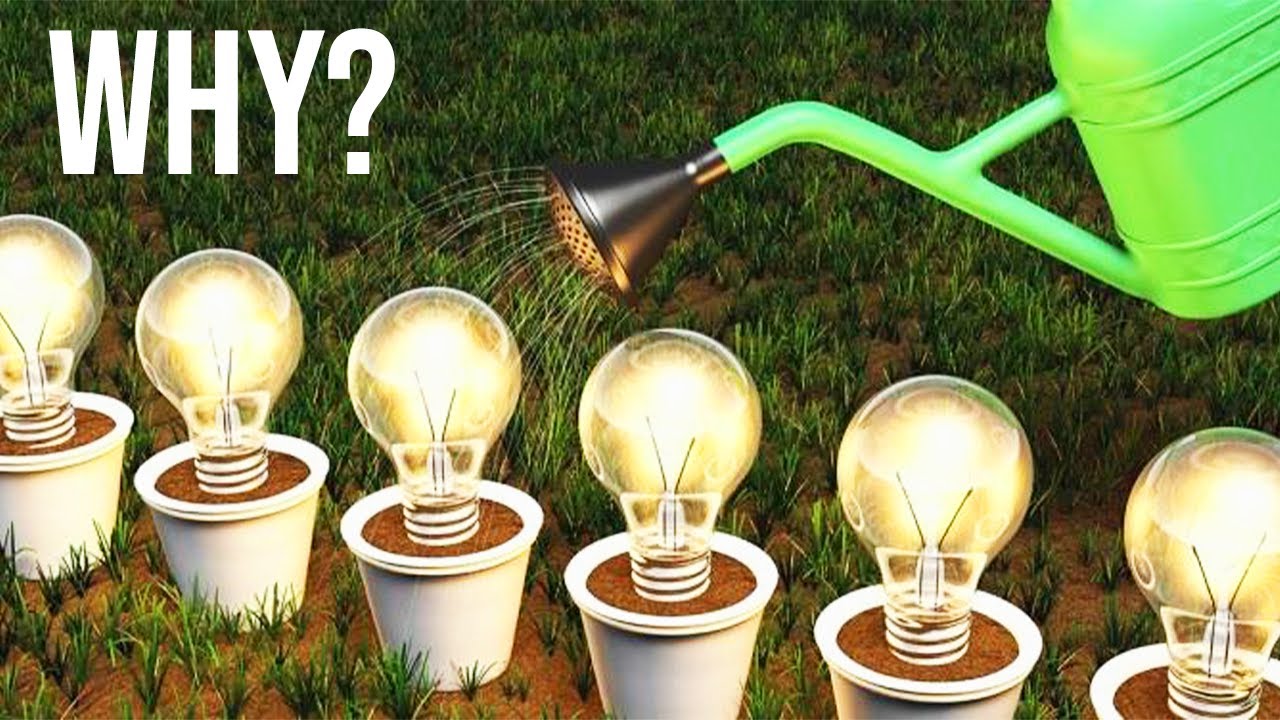 Top 10 Most Useless Inventions you Wouldn't Believe Exist