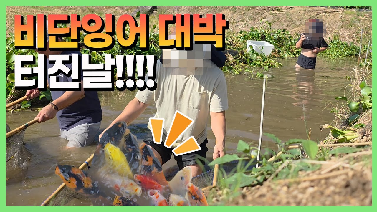 넣는대로 족족 역대급 행복입니다. 근데 감성돔은...?