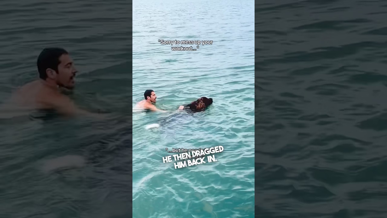 This dog thought he needed to rescue his owner ❤️ @chewythenewfoundland