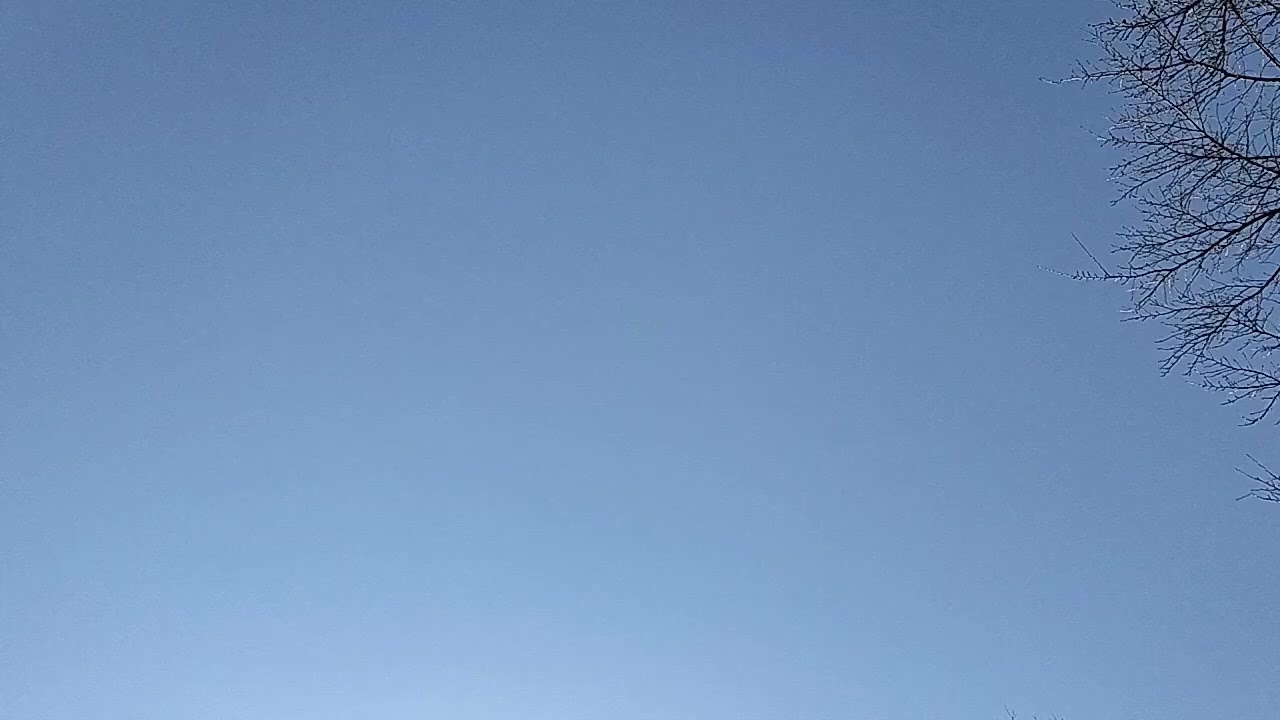 2026年2月20日