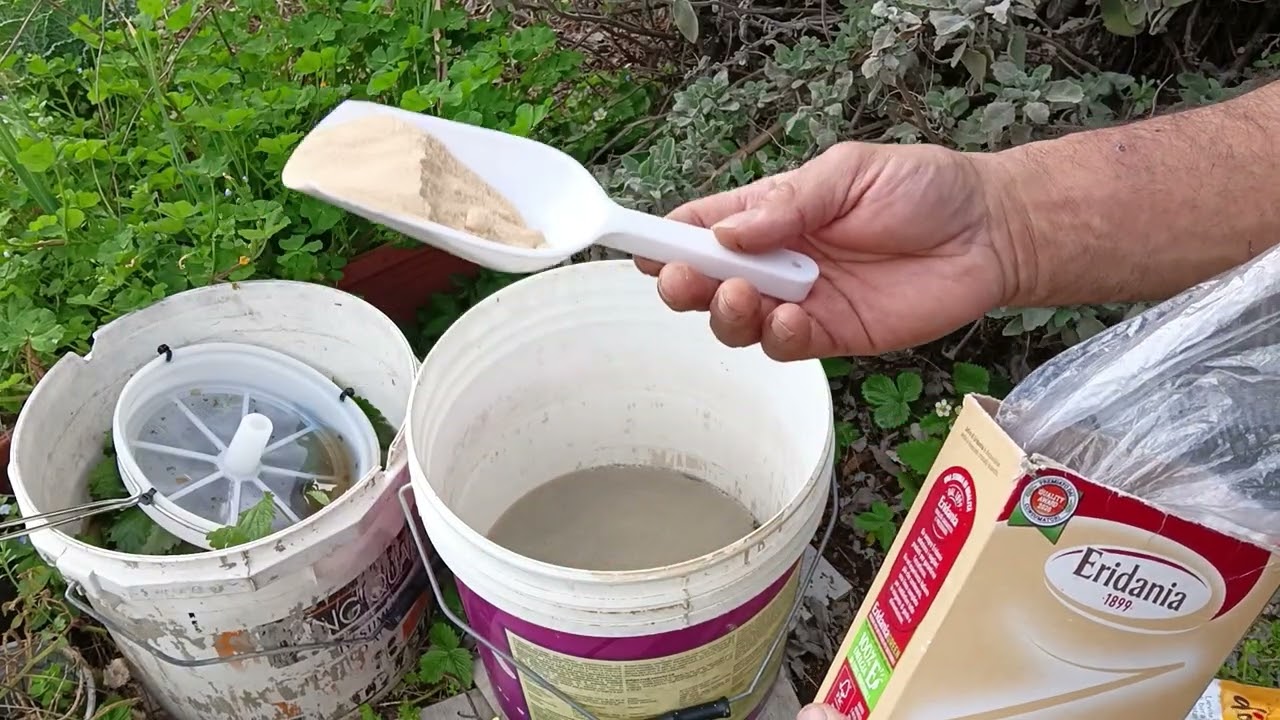 Bomba di Vigore: Ortica Fermentata per un Raccolto Esplosivo🌿🌿🌿🌿🚀🚀🚀🚀