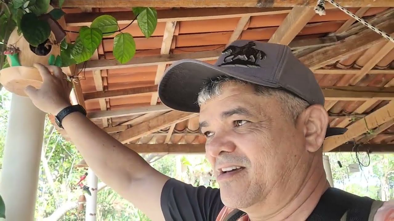 DESCOBRI QUEM ESTA COMENDO MINHAS ABÓBORAS, VIVENDO NO MEIO DOS BICHOS 