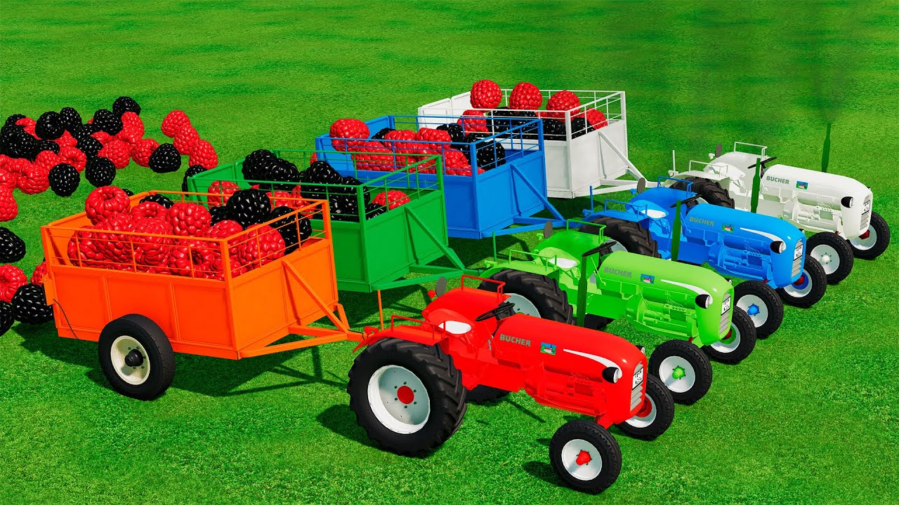 RASPBERRIES LOAD WITH TATRA TRUCKS & TRANSPORTATION BUCHER TRACTORS - Farming Simulator 22