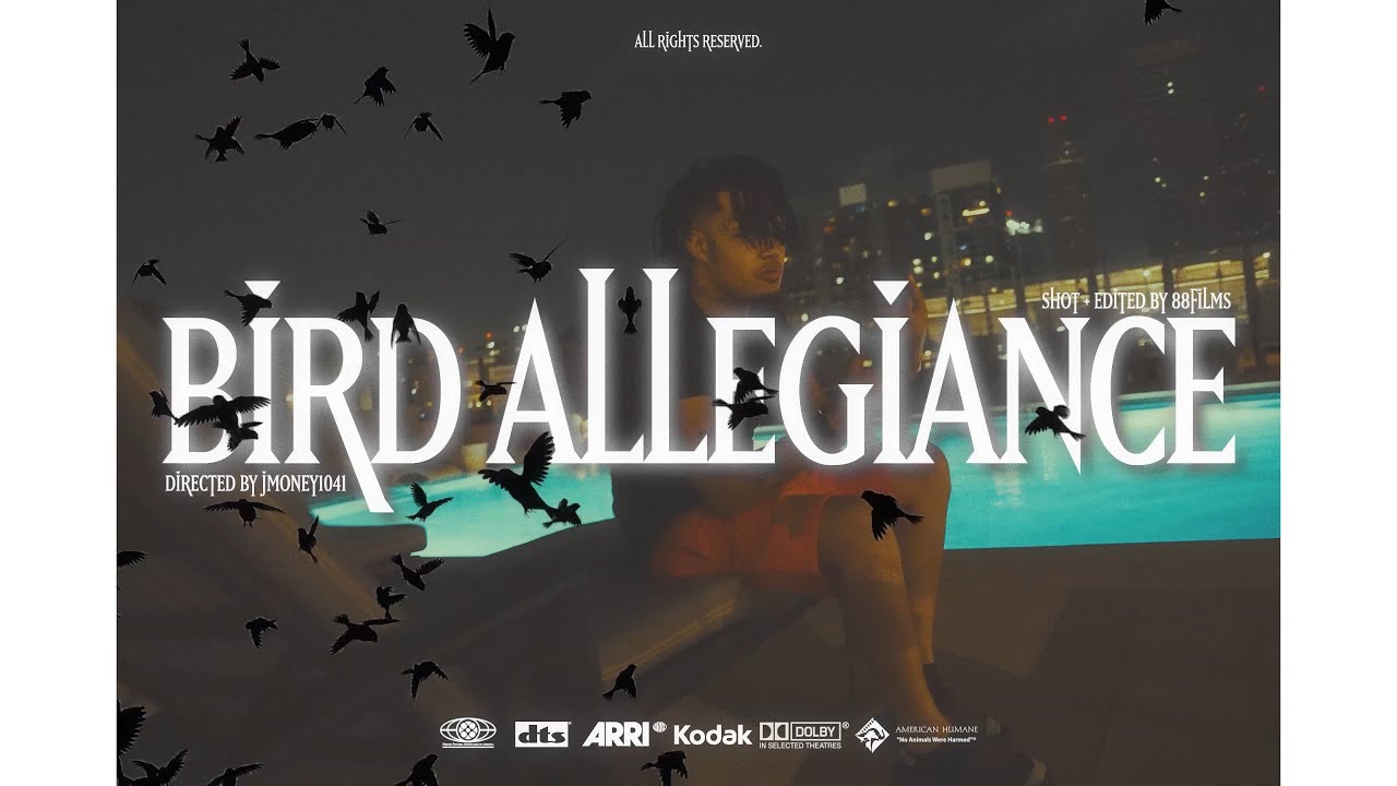 Summrs - Bird Allegiance (Music Video) [Dr. By  @Jmoney1041 ] (Shot By  @lamim2001  )