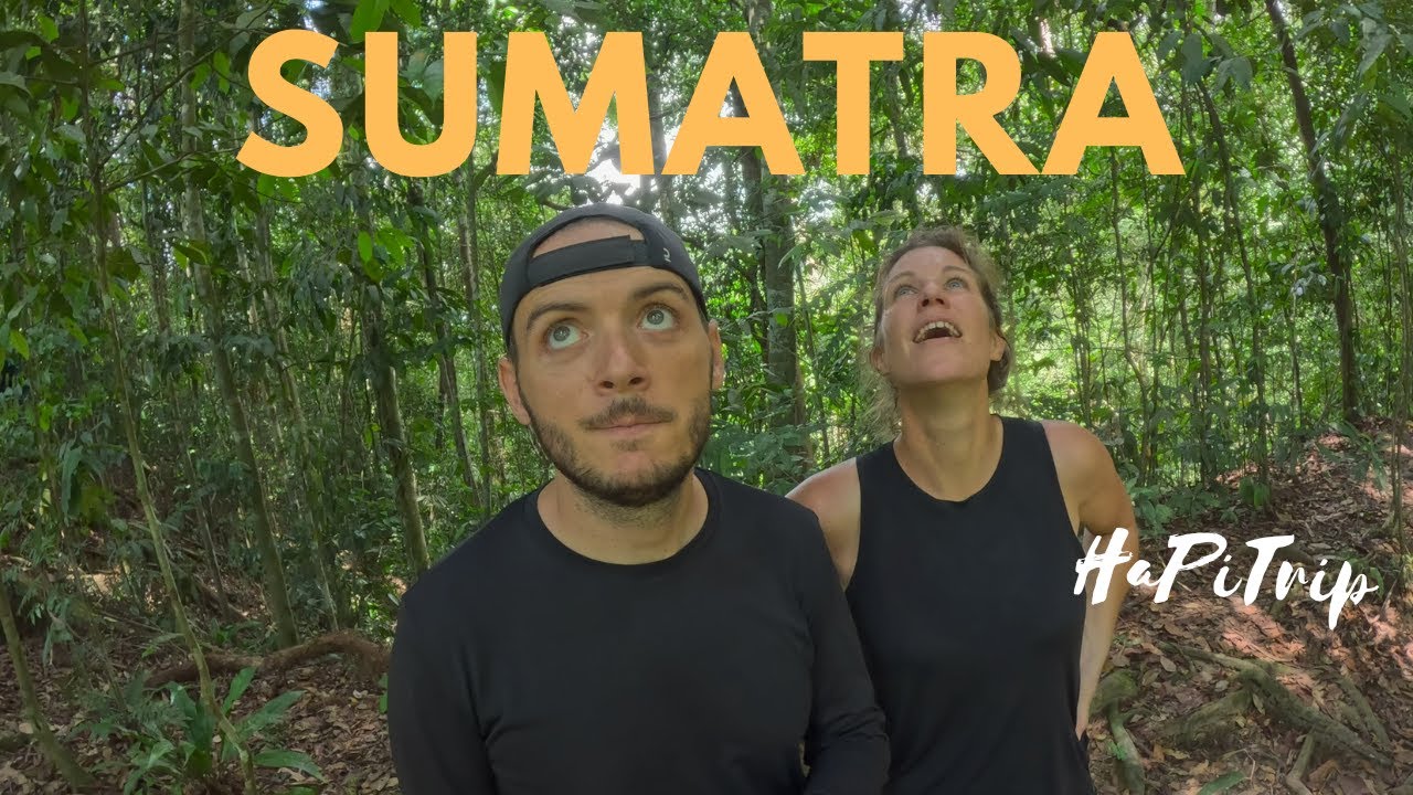Indonésie 2025 - Sumatra - 4k