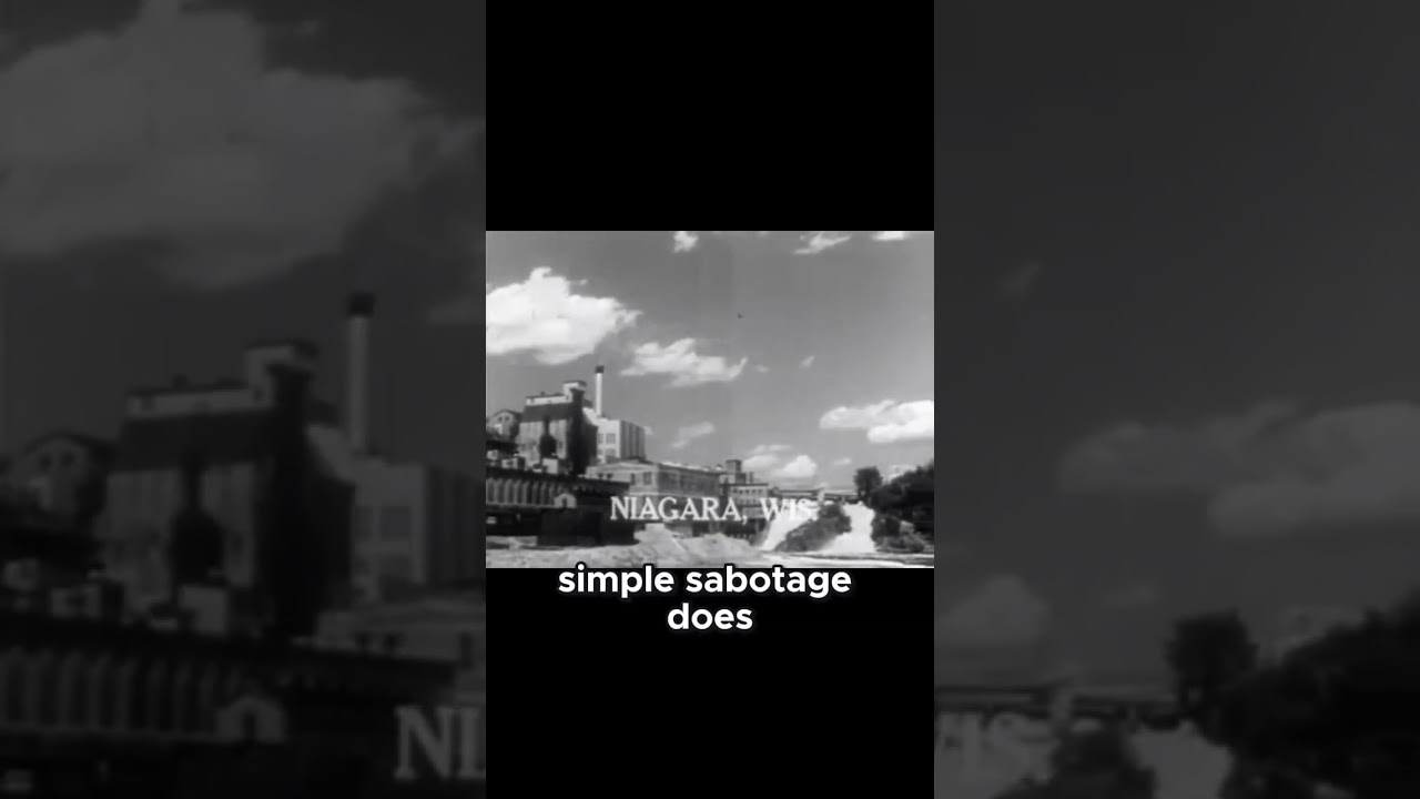 Understanding Simple Sabotage - Citizens Guide