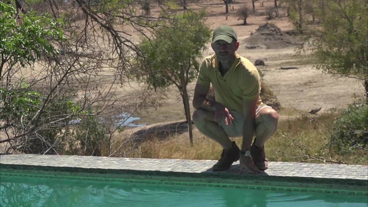 Chitwa Chitwa Private Game Lodge Walkthrough - September 27, 2019