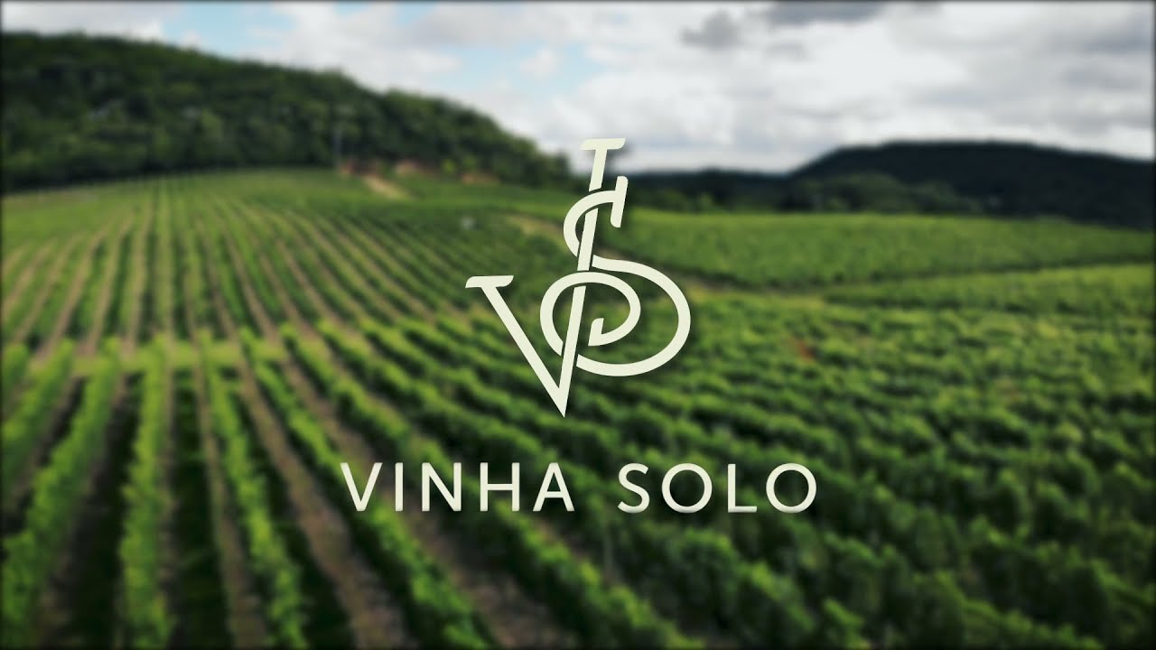 Conhe&ccedil;a a Vinha Solo