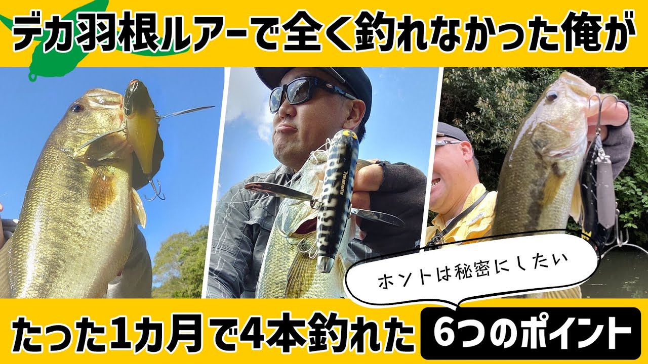 デカ羽根ルアーで全く釣れなかった俺がたった1カ月で4本釣れた6つのポイント教えます【バス釣り】【羽根モノ】