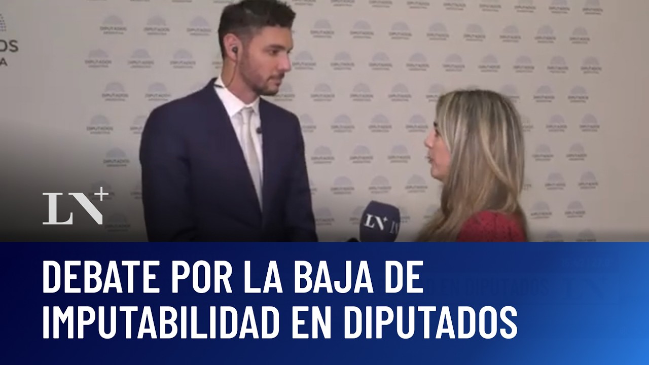 Régimen penal juvenil: debate por la baja de la edad de imputabilidad en Diputados