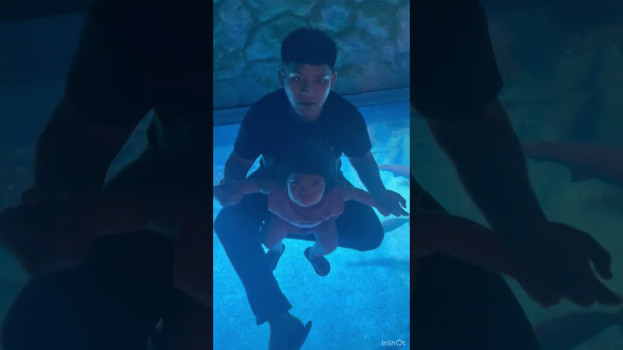 Go to Jakarta Aquarium 27 Feb 2026