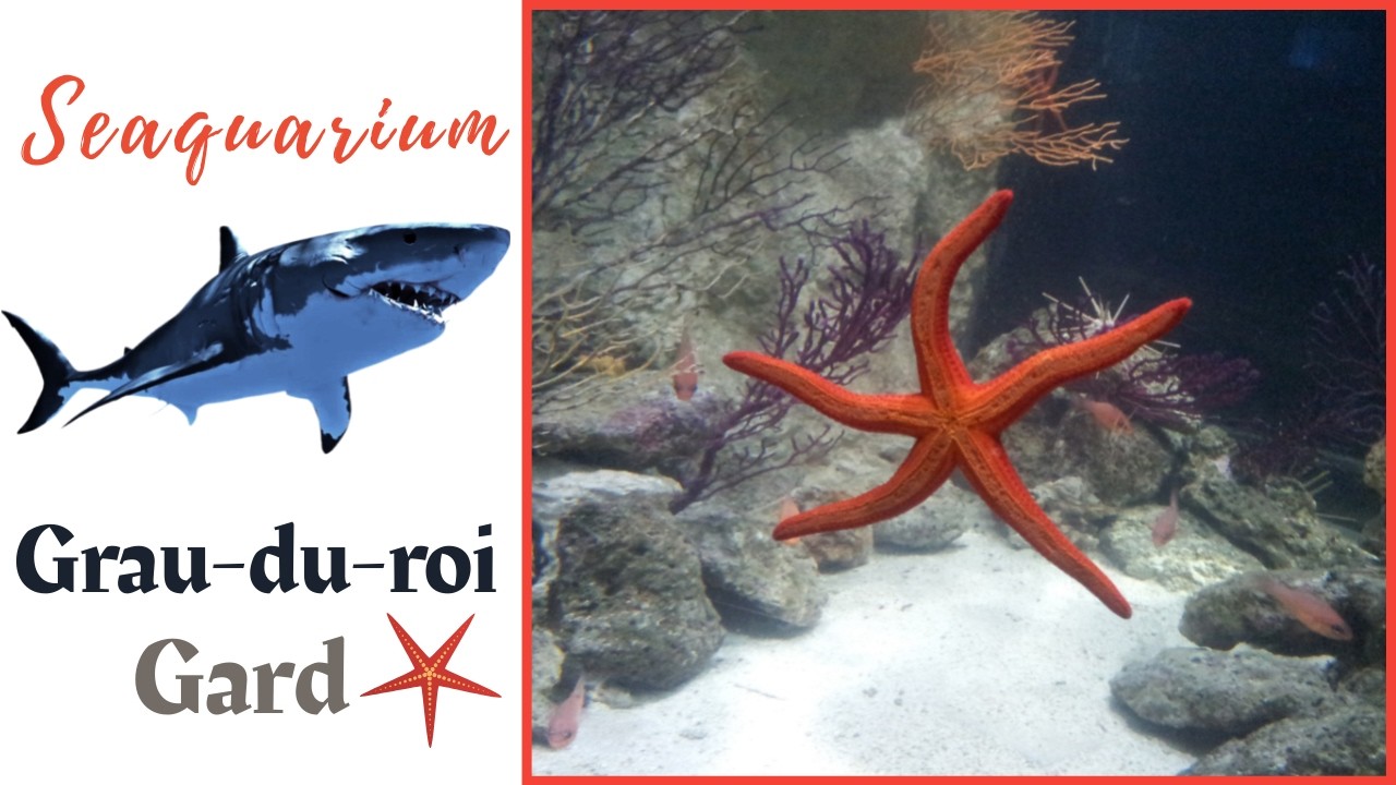 Seaquarium Grau-du-roi Gard 2012