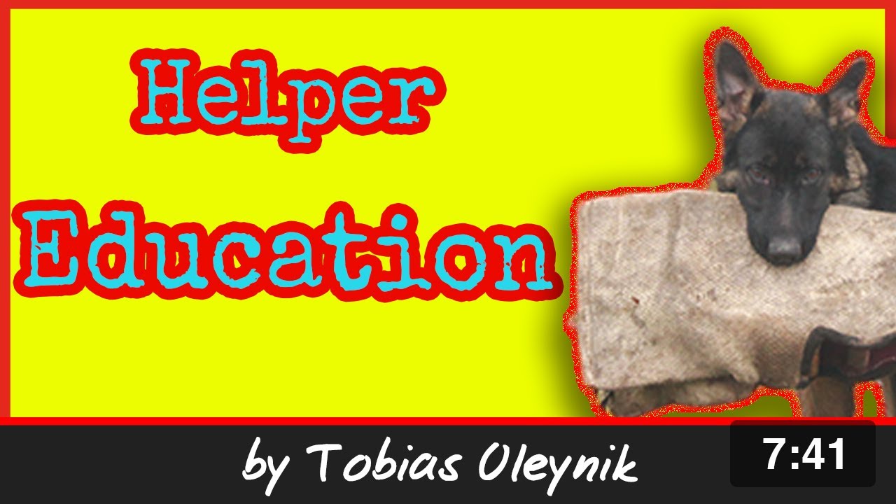 IGP Training Helper Education - Tobias Oleynik USA Visit 2020