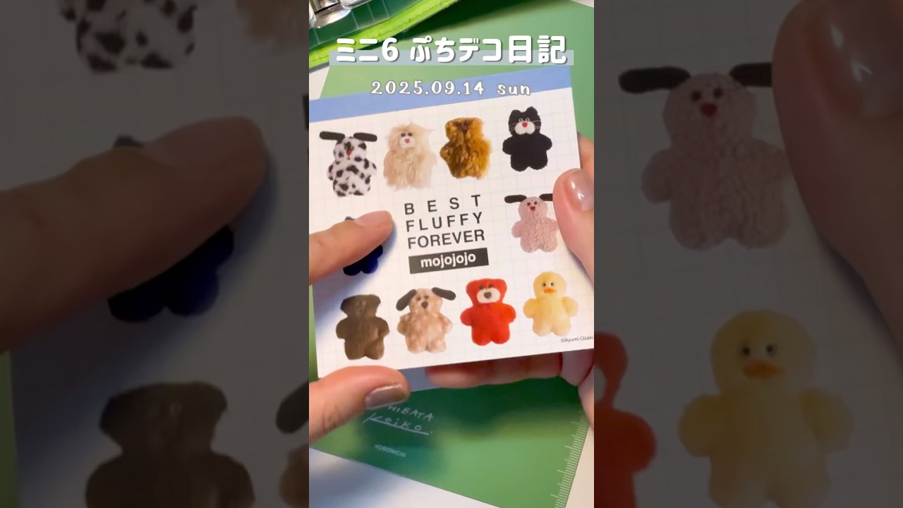 ミニ6 |ぷちデコ日記 20250914 #手帳デコ #手帳 #手帳タイム #システム手帳 #journal #journalwithme
