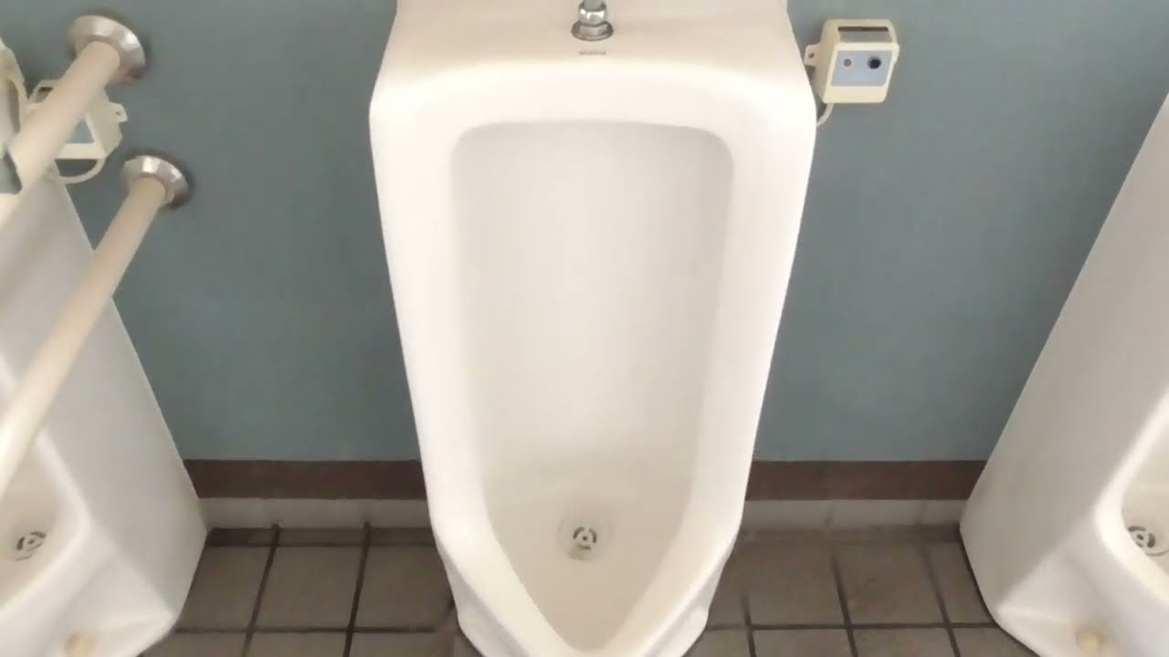 禅林街 禅林広場　公衆トイレ(男性トイレ)（青森・弘前市）🚽　WC Japanese Toilet, Restroom　Flush