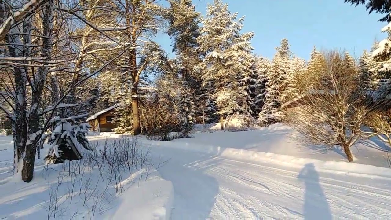 Talvimaisema