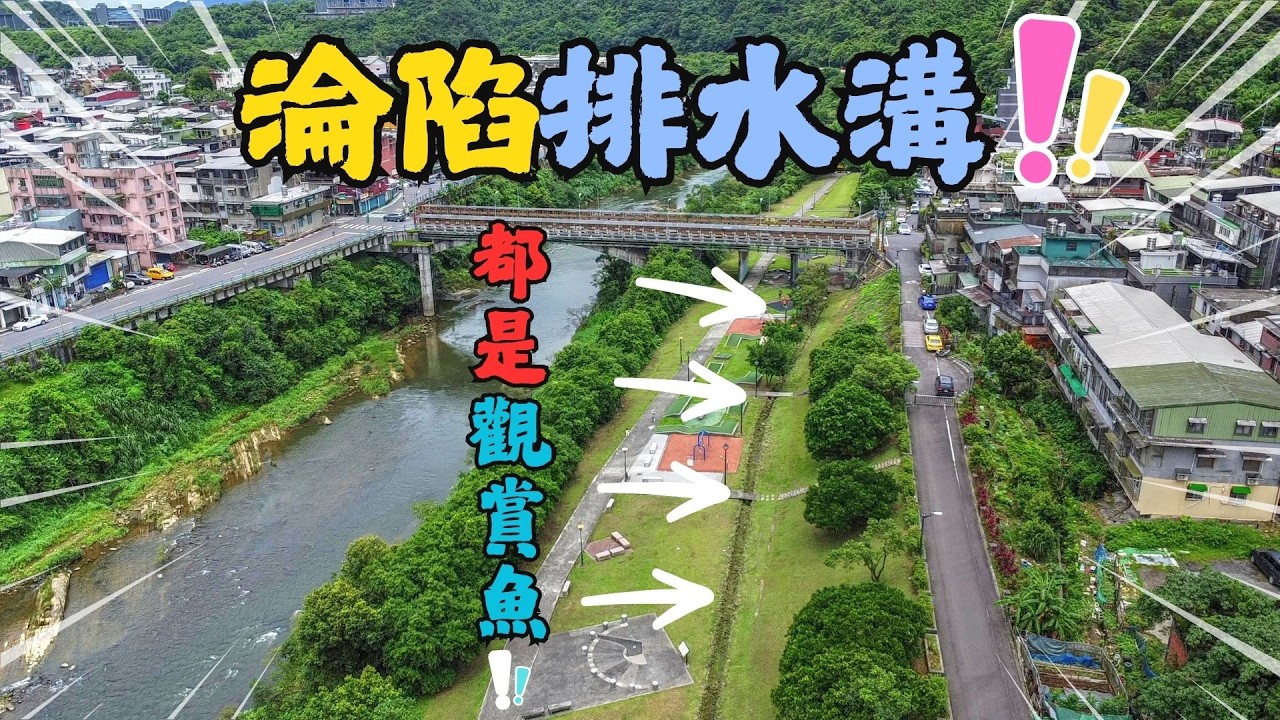 沉默危機！公園小水溝淪為外來繁殖場！當溪流都是垃圾與廢水，台灣溪流的悲歌！我們還能做什麼？｜Maxcatch｜YONGYUE布希鞋｜飛釣｜小物釣｜#fishing #釣り #flyfishing