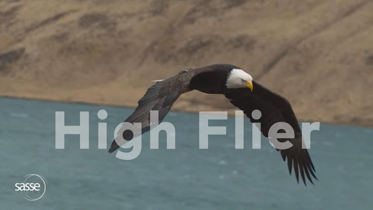 Crossman Innertainment - High Flier