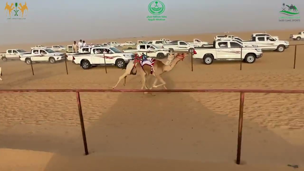 ميدان شرورة الشوط الاول رئيسي قعدان مفاريد مسافة (١٢٠٠م) جلمود ل  سالم بن علي بن هفتان الصيعري