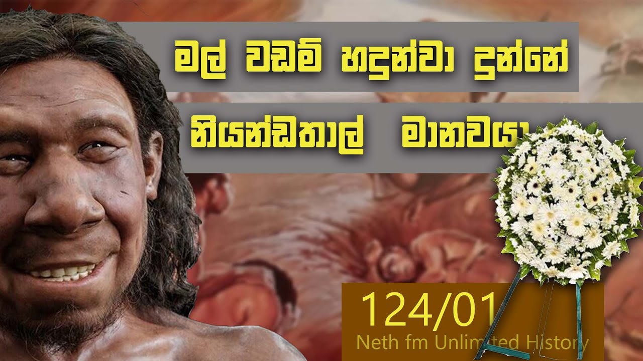 නියන්ඩතාල් ලා සහ මිනිස්සු | Neanderthal and Homo sapiens | Neth Unlimited History Sri Lanka 124 - 01