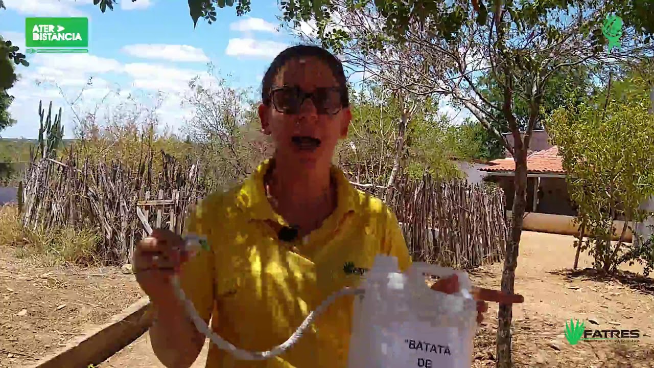 Sistema de Irrigação por Capilaridade - Batata de Salvação
