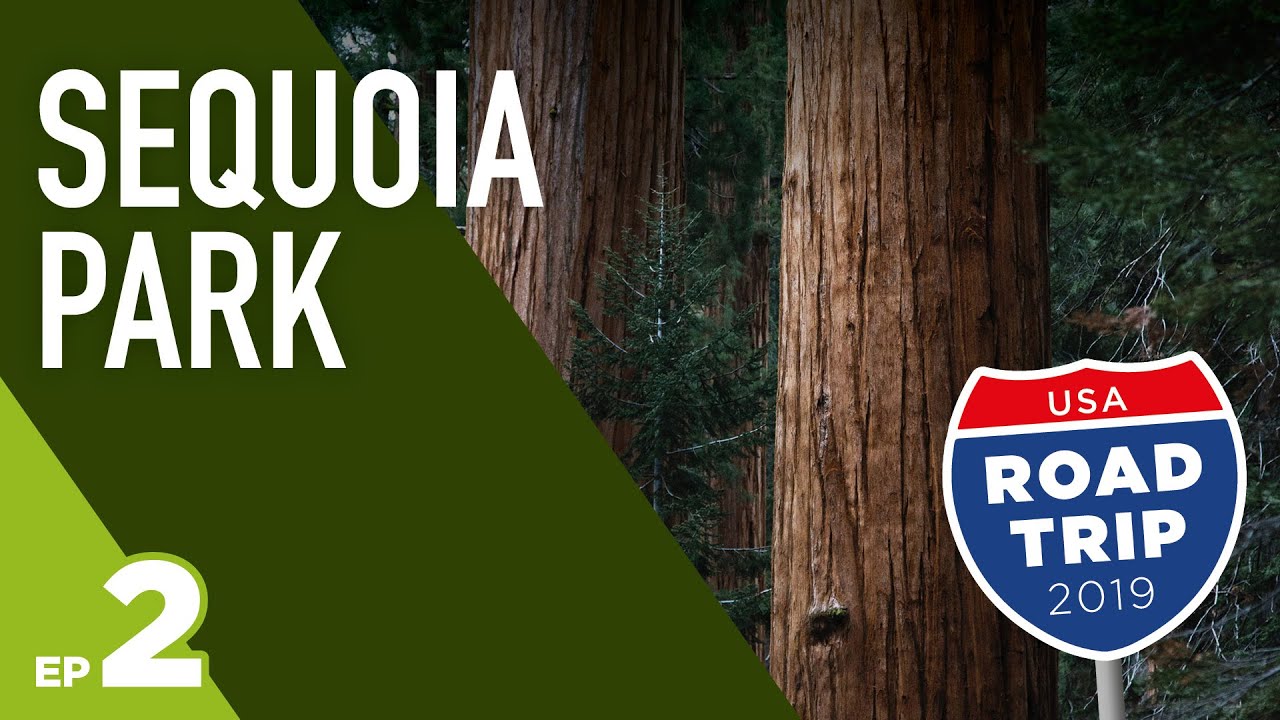 Sequoia National Park, 5 BEST Photography Locations
