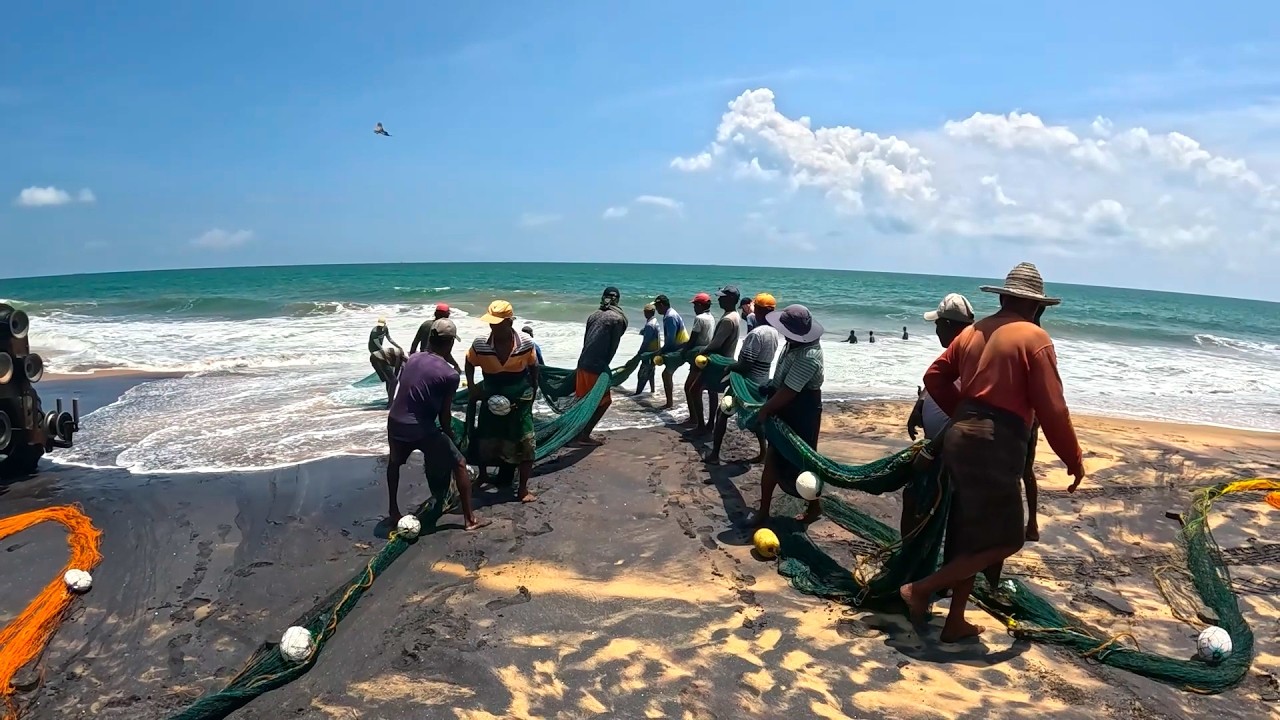 Incredible Seine Net Fishing Village | Watch The Entire Catch