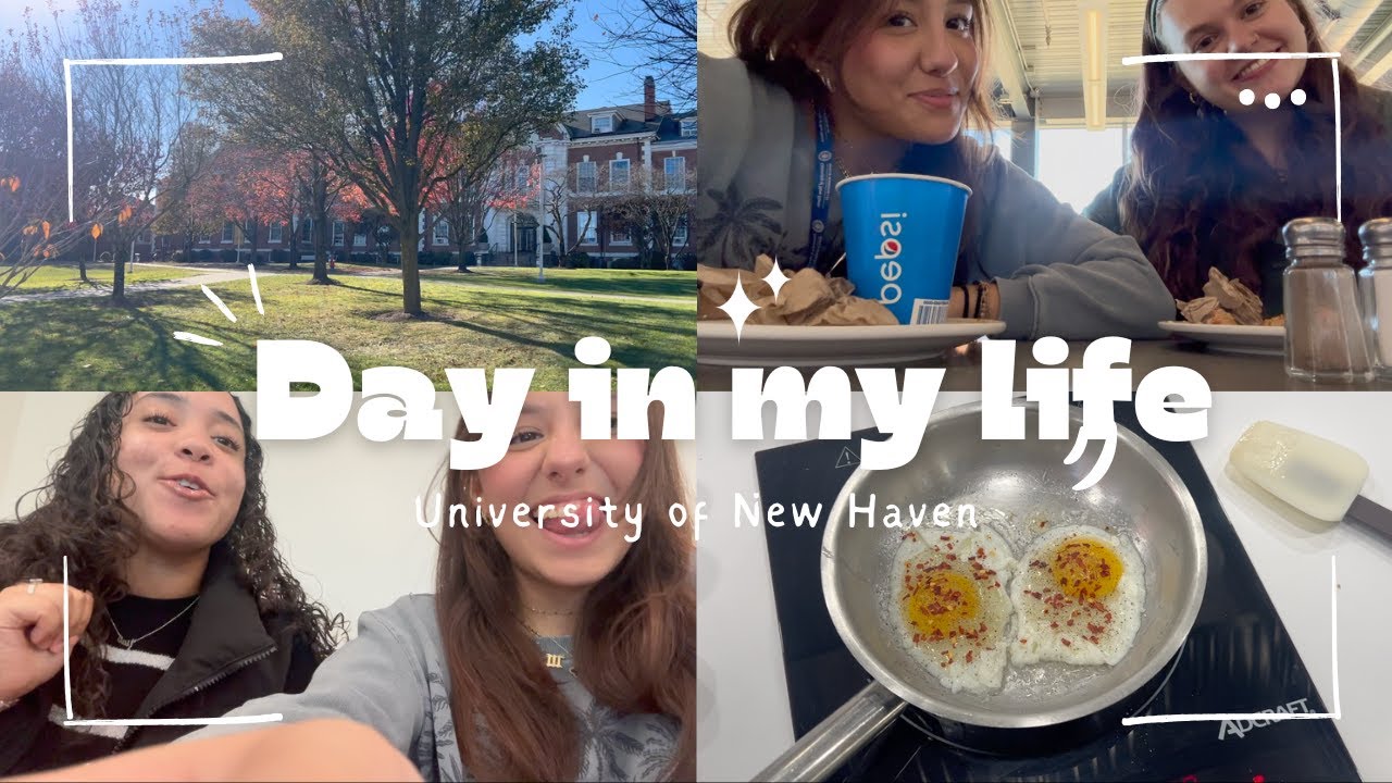 Day in My Life | University of New Haven
