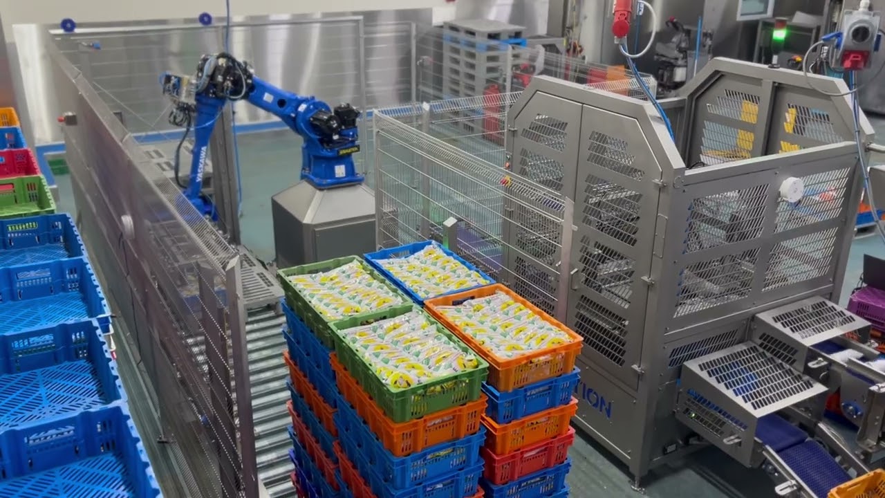 Complete Packaging Line for Lotgering