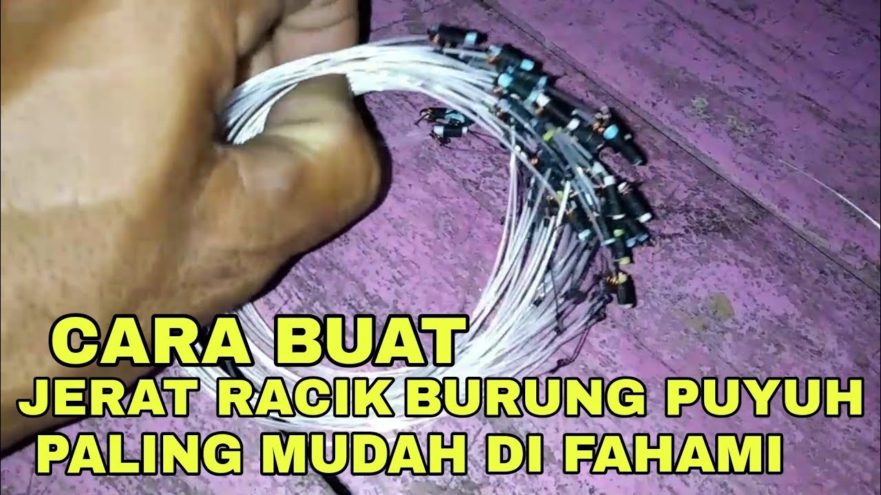 MEMBUAT JERAT GANTUNG  PUYUH | PUYUH PIPIKAU | PUYUH BATU