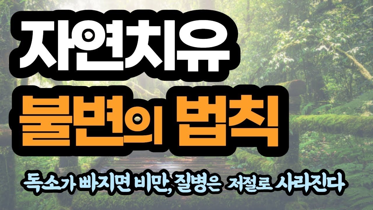 (강추영상)자연치유 불변의 법칙 _ 비민과 질병이 저절로 사라지는 비법