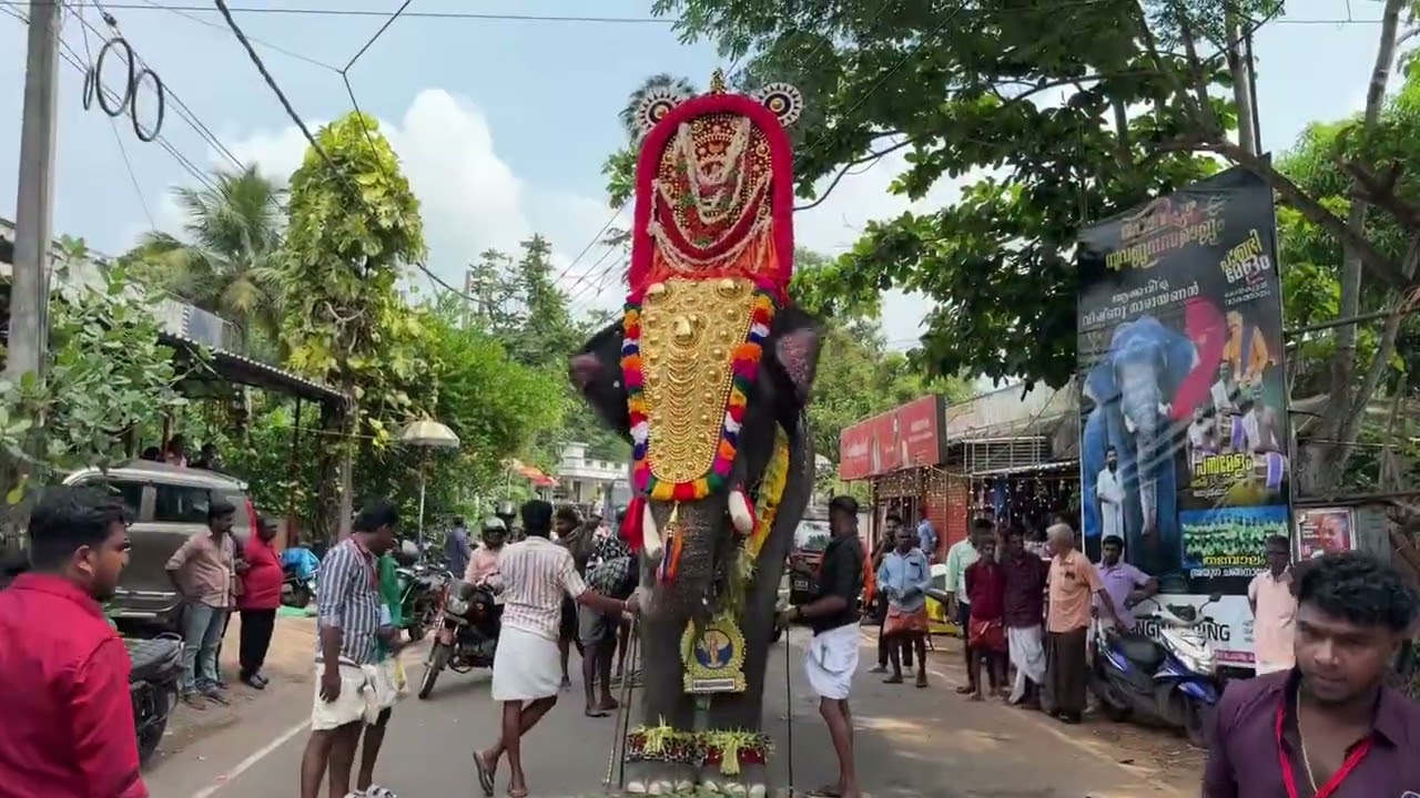 ഇത്തിത്താനം ഉത്സവം 2025, Ithithanam Gajamela, #ithithanam #ghoshayathra, #elephantprocession