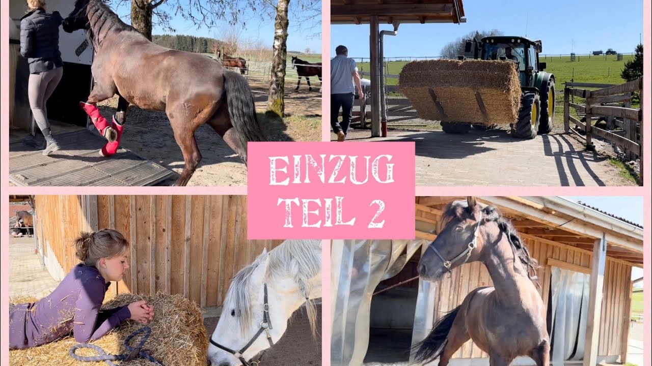 Der Einzug! War es eine gute Entscheidung??