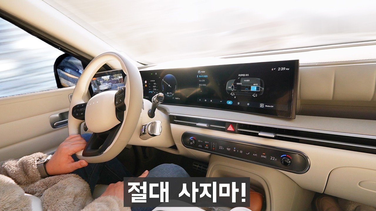 개 좋은데.. 사지마