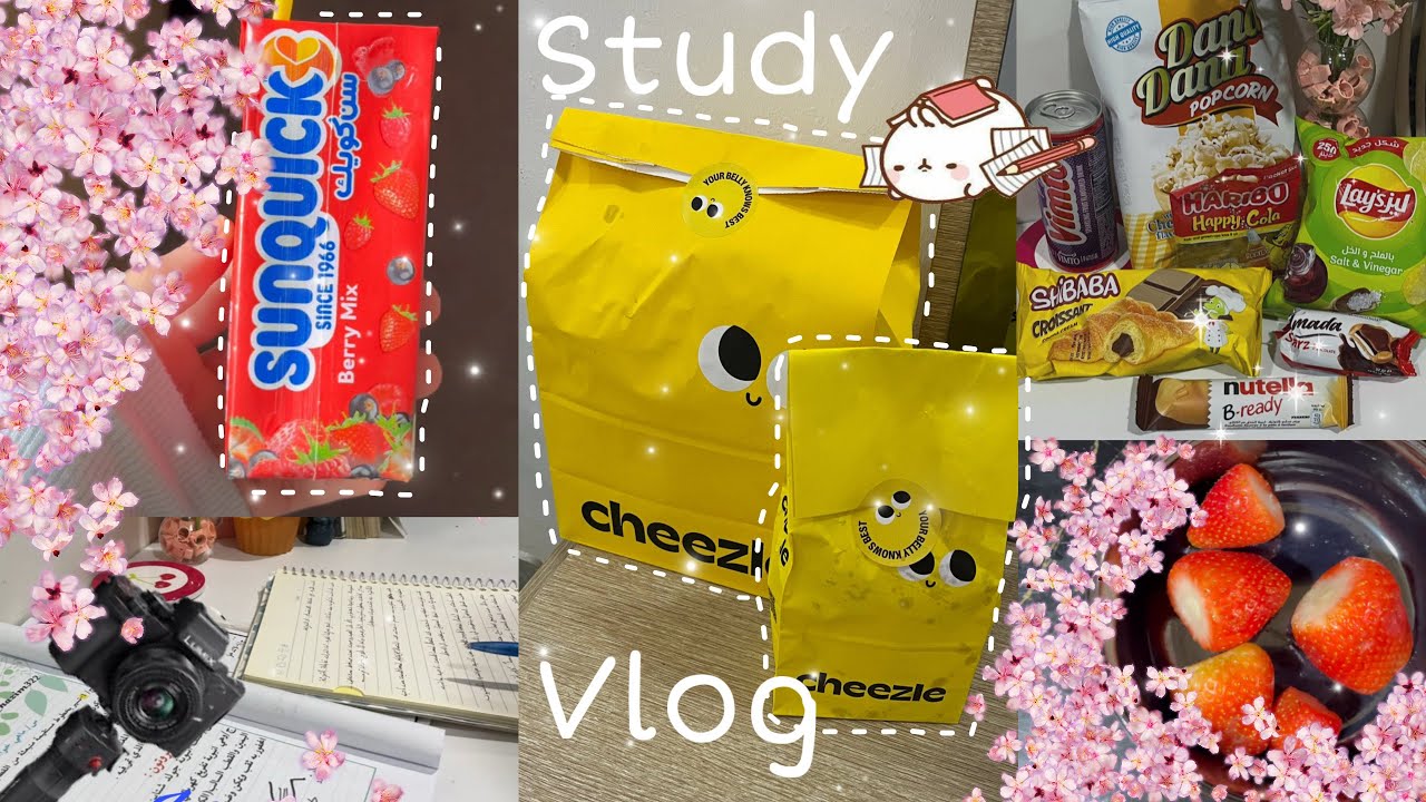 Midterm Study Vlog | دراسة امتحانات نص السنة 📚