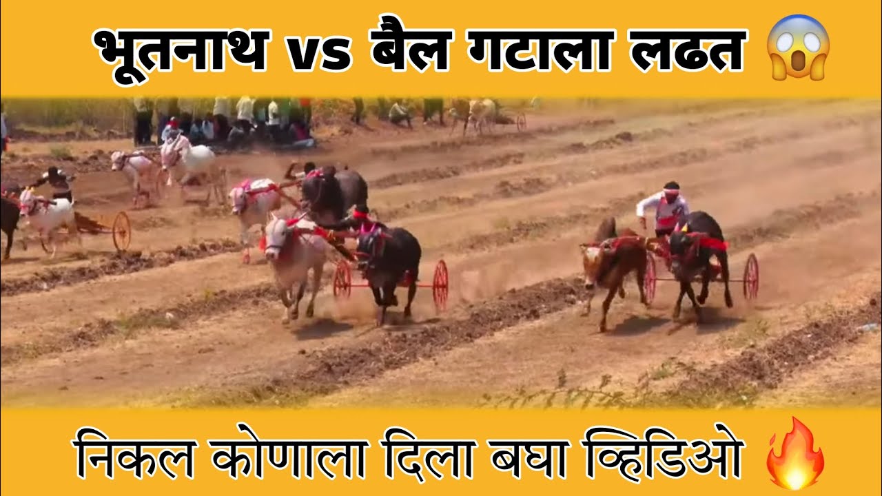 भूतनाथ vs बैल गटाला लढत 😱 निकाल कोणाला दिला बघा व्हिडिओ 🔥 #बकासुर #नाद #बैलगाडा #viral 